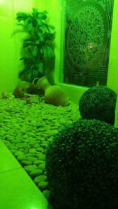 Read more about the article Renovating Building Entries