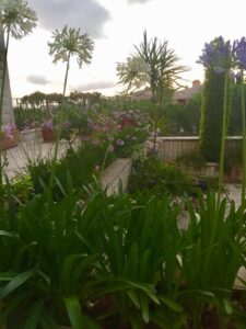 Read more about the article Creating Gardens