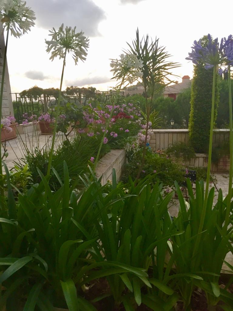 You are currently viewing Creating Gardens